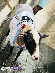 俄罗斯网红拍摄花絮,揭秘俄罗斯拍摄幕后