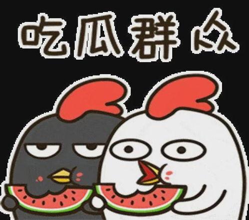 吃瓜娱乐八卦兔,兔视角下的娱乐圈风云录